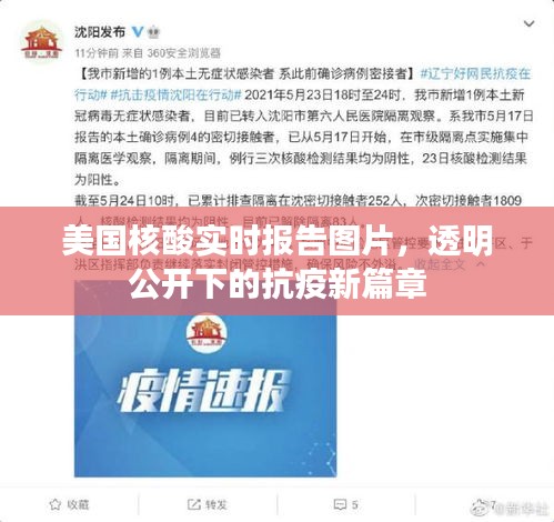 美国核酸实时报告图片，透明公开下的抗疫新进展