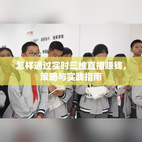 实时三维直播盈利策略与实践指南