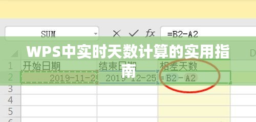 WPS实时天数计算实用指南