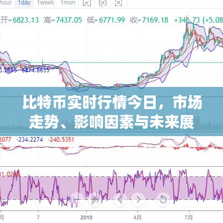 比特币实时行情分析，市场走势、影响因素与未来展望