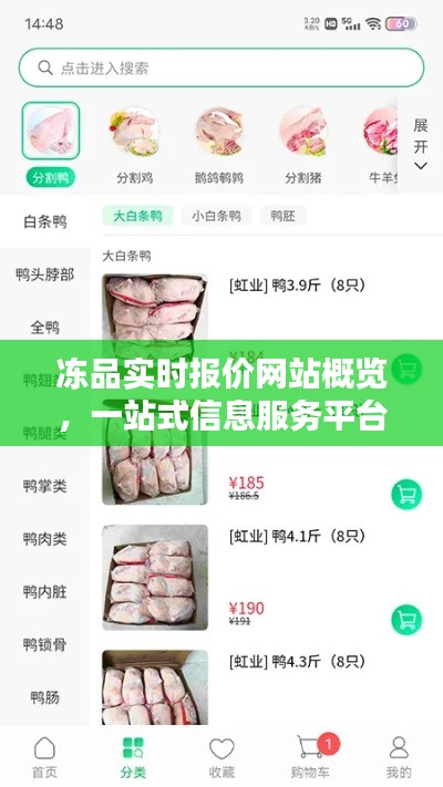 冻品实时报价网站一站式信息服务平台解析，全方位概览与深度解析
