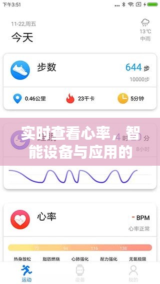 智能设备心率监测优选指南，实时查看心率的最佳应用推荐