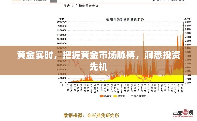 黄金市场实时动态，洞悉投资先机，把握市场脉搏