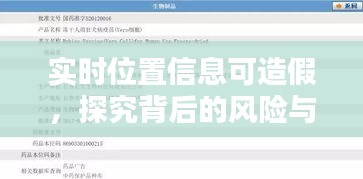 实时位置信息造假背后的风险与犯罪问题探究