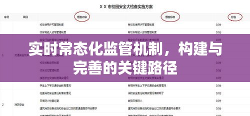 实时常态化监管机制的构建与完善，关键路径探讨