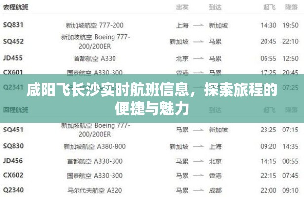 咸阳至长沙航班实时信息，旅程便捷与魅力探索
