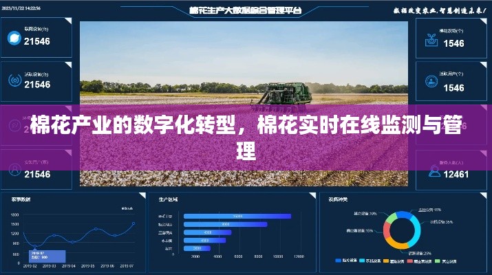 棉花产业数字化转型，实时在线监测与管理创新实践