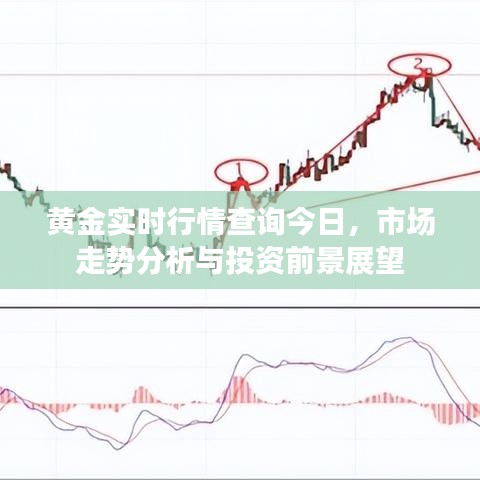 黄金实时行情查询今日，市场走势分析与投资前景展望报告