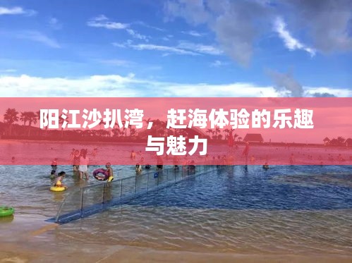 阳江沙扒湾赶海体验，乐趣与魅力所在