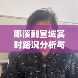 郎溪到宣城路况实时分析与出行指南