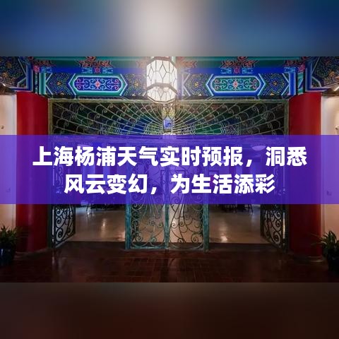 上海杨浦实时天气变化掌握风云，生活添彩早知道