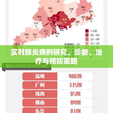 实时肺炎病例研究，诊断、治疗与预防的综合策略探讨
