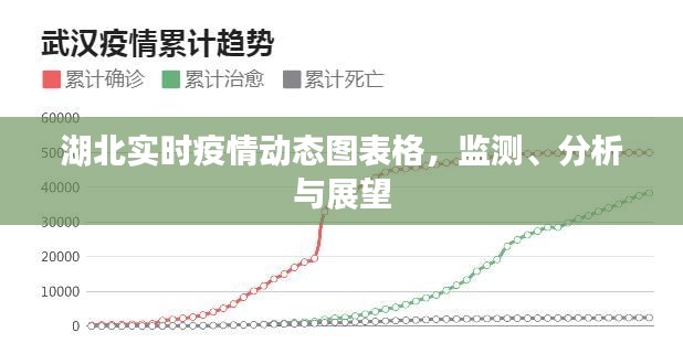 湖北实时疫情动态图表，监测、分析与未来展望