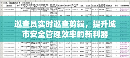 实时巡查剪辑提升城市安全管理效率的新利器——巡查员的角色与价值