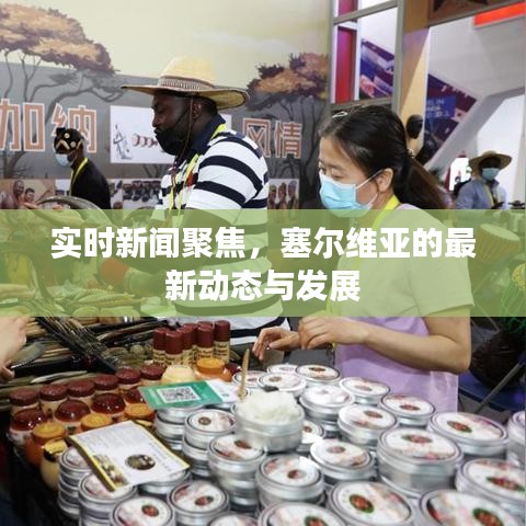 实时聚焦塞尔维亚，最新动态与发展概览