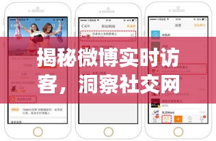 揭秘微博实时访客，社交网络洞察新视角