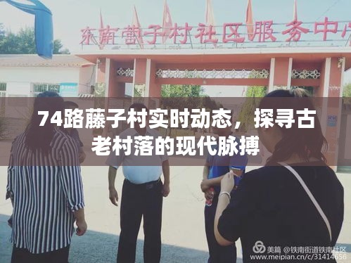 探寻古老村落的现代脉搏，藤子村实时动态纪实（74路）