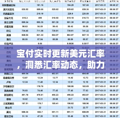 宝付实时更新美元汇率，助力跨境金融决策洞悉汇率动态