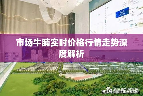 牛腩市场实时价格行情深度解析与走势预测