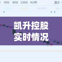 凯升控股实时情况全面解析报告