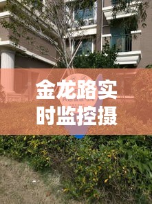 金龙路智慧监控摄像头安装，保障安全，构建智慧街区新篇章