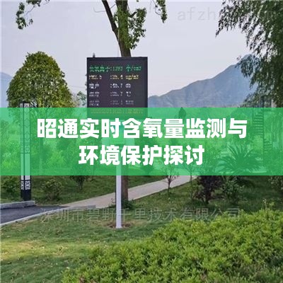 昭通实时含氧量监测与环境保护深度探讨