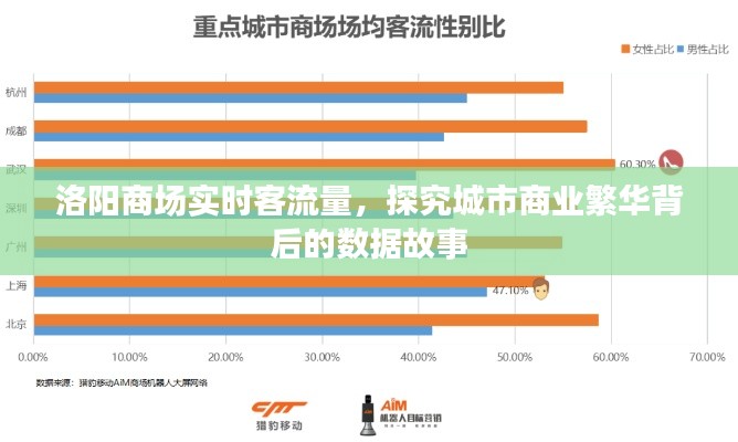 洛阳商场实时客流量揭秘，商业繁华背后的数据剖析