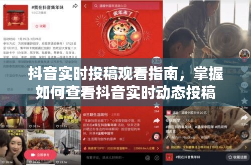 抖音实时动态投稿观看指南，轻松掌握查看实时投稿技巧