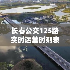 瑞雪纷飞