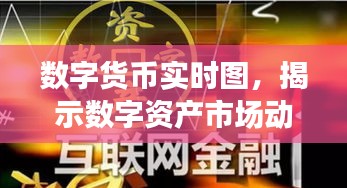 数字货币实时图，揭示市场现状与未来趋势的探索