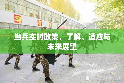 当兵实时政策解读，适应与未来展望