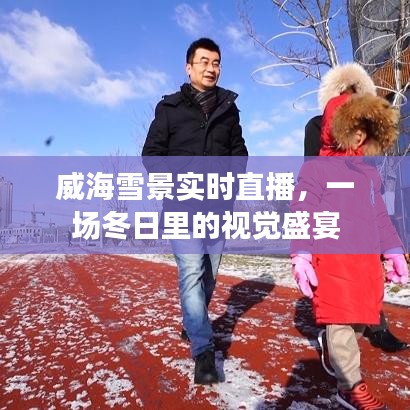 威海雪景直播，冬日视觉盛宴展现眼前