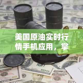 美国原油实时行情手机应用，国际油价动态掌握在手！
