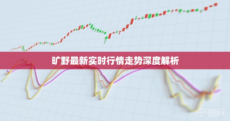 旷野实时行情走势深度解析报告