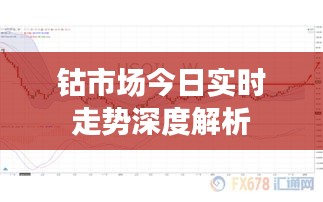 钴市场今日实时走势深度剖析与解析