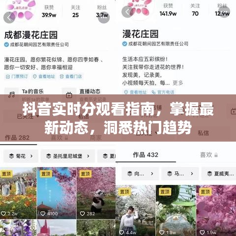 抖音实时分观看指南，掌握最新动态，热门趋势一目了然