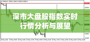 深市大盘股指数实时行情解读与未来展望
