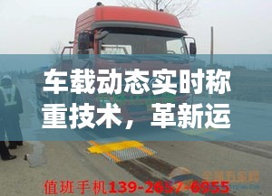 惊弓之鸟 第2页