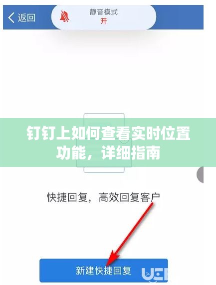 钉钉实时位置功能使用指南，如何查看