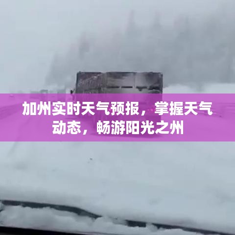 张袂成阴 第2页