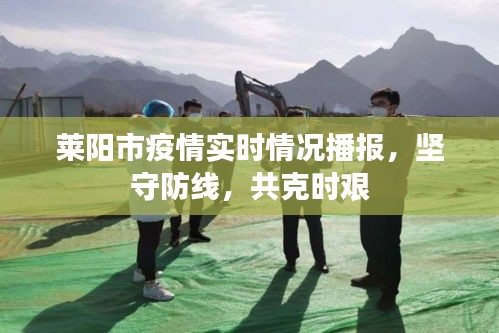 凤鸟不至 第3页