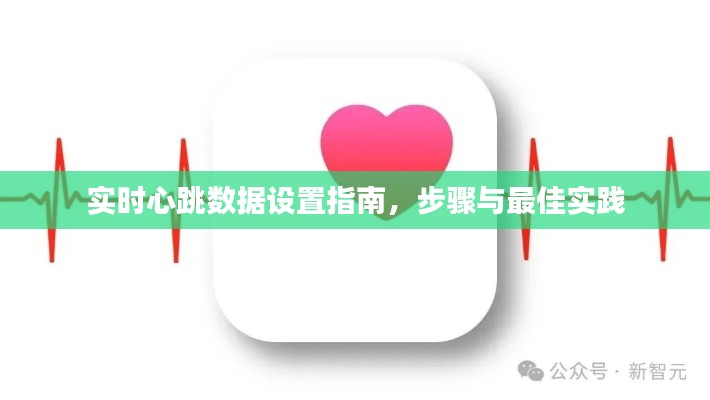 实时心跳数据设置指南，步骤及最佳实践详解