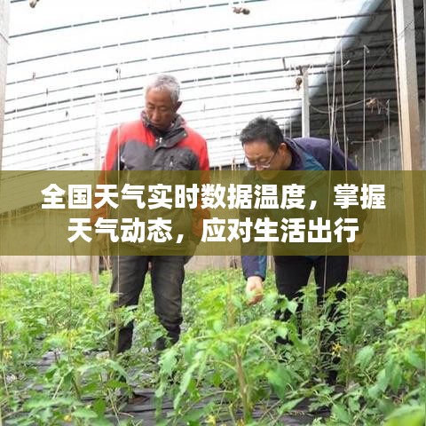 全国实时天气数据，掌握动态，助力生活出行决策