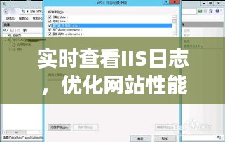 IIS日志实时查看，优化网站性能与安全的指南
