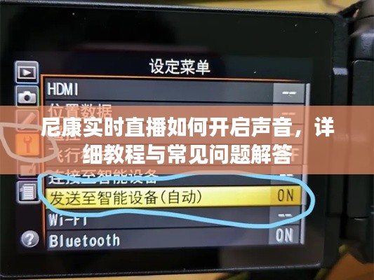 尼康实时直播声音开启教程，详细步骤与常见问题解答