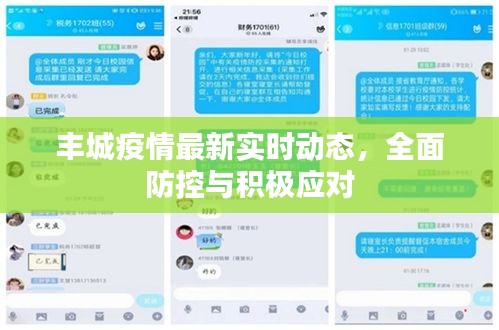 丰城疫情最新动态，全面防控，积极应对