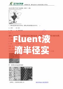 Fluent液滴半径实时获取技术深度解析