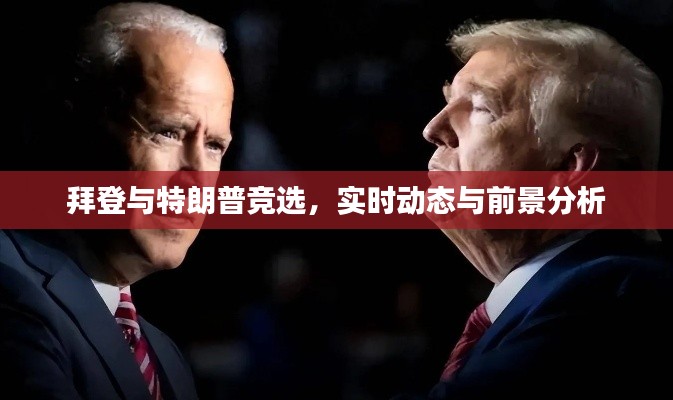 拜登与特朗普竞选，实时动态与前景深度解析