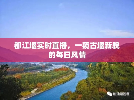 都江堰实时直播，探秘古堰新貌的每日风情