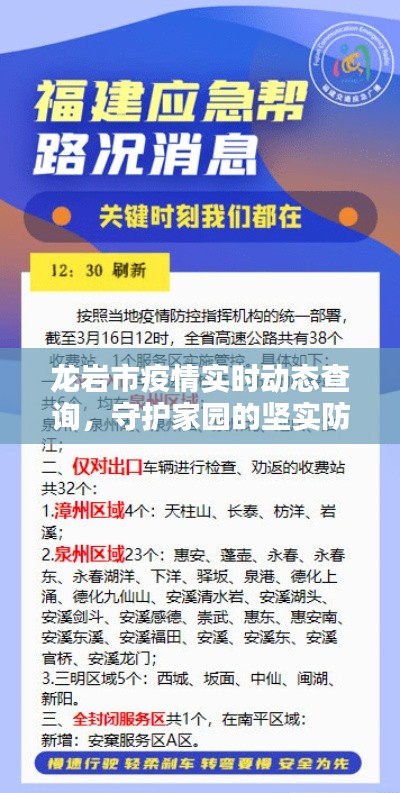 龙岩市疫情实时动态守护家园安全防线